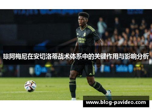 琼阿梅尼在安切洛蒂战术体系中的关键作用与影响分析