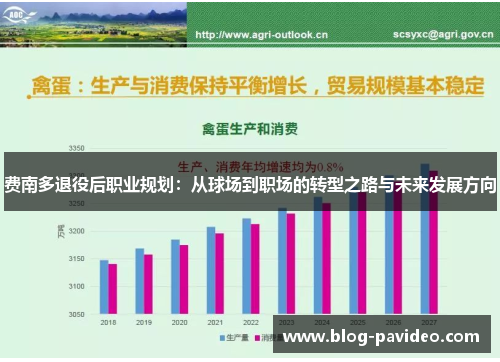 费南多退役后职业规划：从球场到职场的转型之路与未来发展方向