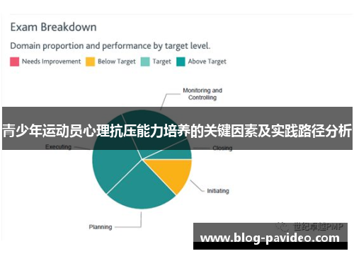青少年运动员心理抗压能力培养的关键因素及实践路径分析 青少年运动员心理抗压能力培养的关键因素及实践路径分析