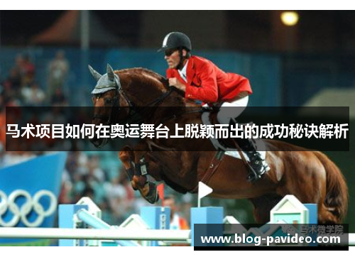 马术项目如何在奥运舞台上脱颖而出的成功秘诀解析