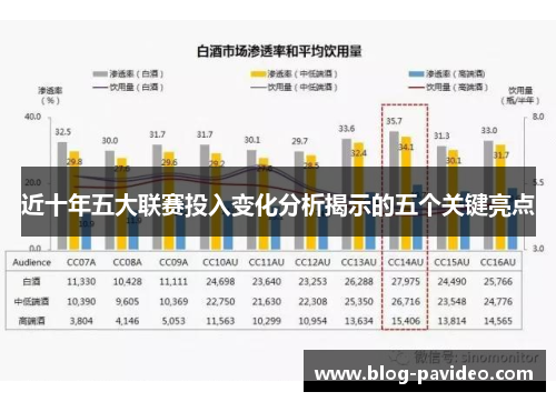 近十年五大联赛投入变化分析揭示的五个关键亮点