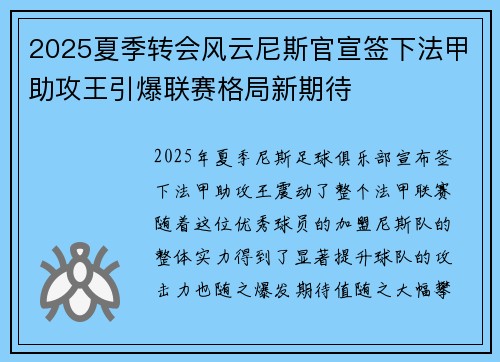 2025夏季转会风云尼斯官宣签下法甲助攻王引爆联赛格局新期待