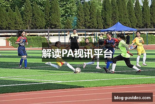 解读PA视讯平台